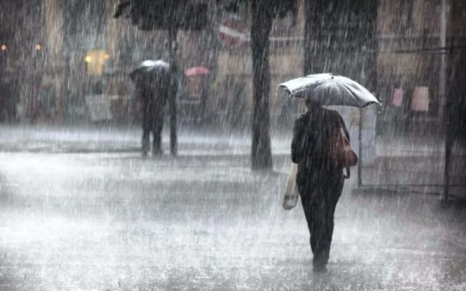 Leysanla bağlı xəbərdarlıq, Hava, Hava proqnozu