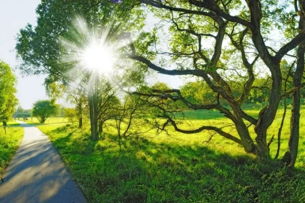 33 dərəcə isti, Hava, Hava proqnozu