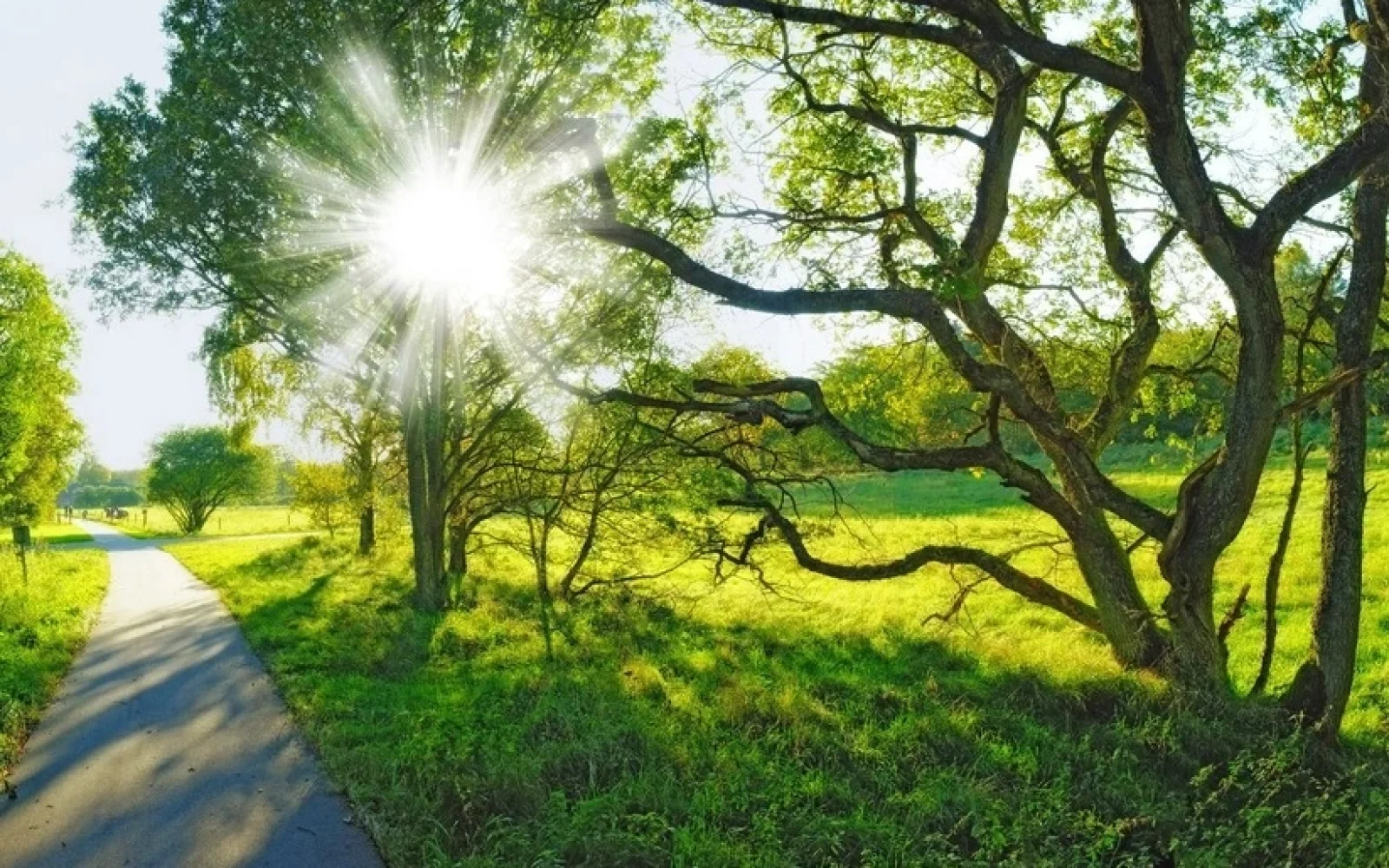 33 dərəcə isti, Hava, Hava proqnozu