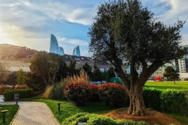 23 dərəcə isti, Hava, Hava proqnozu