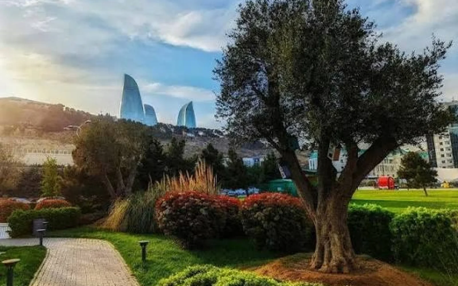 23 dərəcə isti, Hava, Hava proqnozu