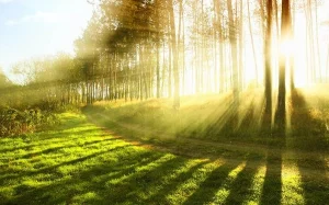 20 dərəcə isti, Hava, Hava proqnozu