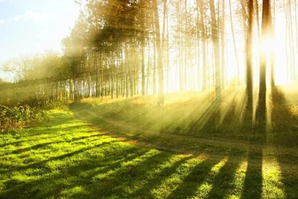 20 dərəcə isti, Hava, Hava proqnozu