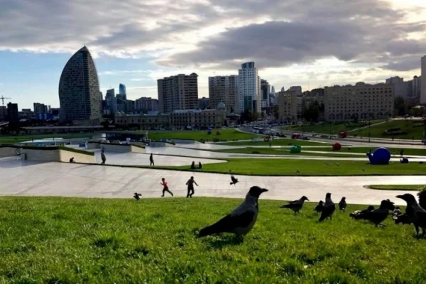 Завтра в Баку погода, Баку, погода