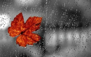 Hava yağıntılı olacaq, Hava, Hava proqnozu