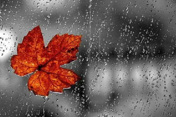 Hava yağıntılı olacaq, Hava, Hava proqnozu