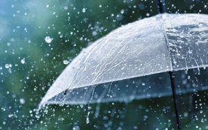 Bakıda yağış yağacaq, Hava, Hava proqnozu