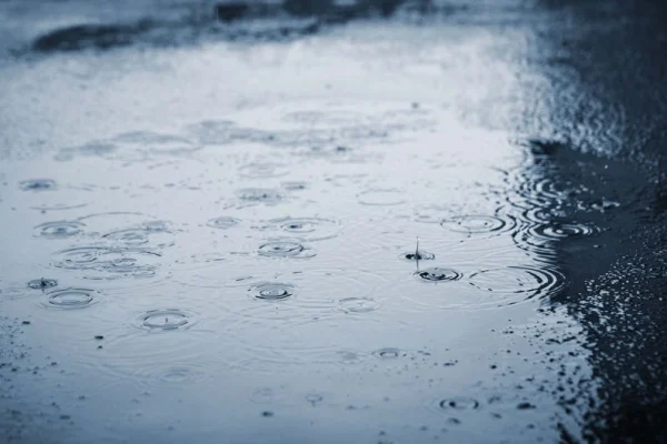 Çiskinli yağış yağacaq, Hava, Hava proqnozu