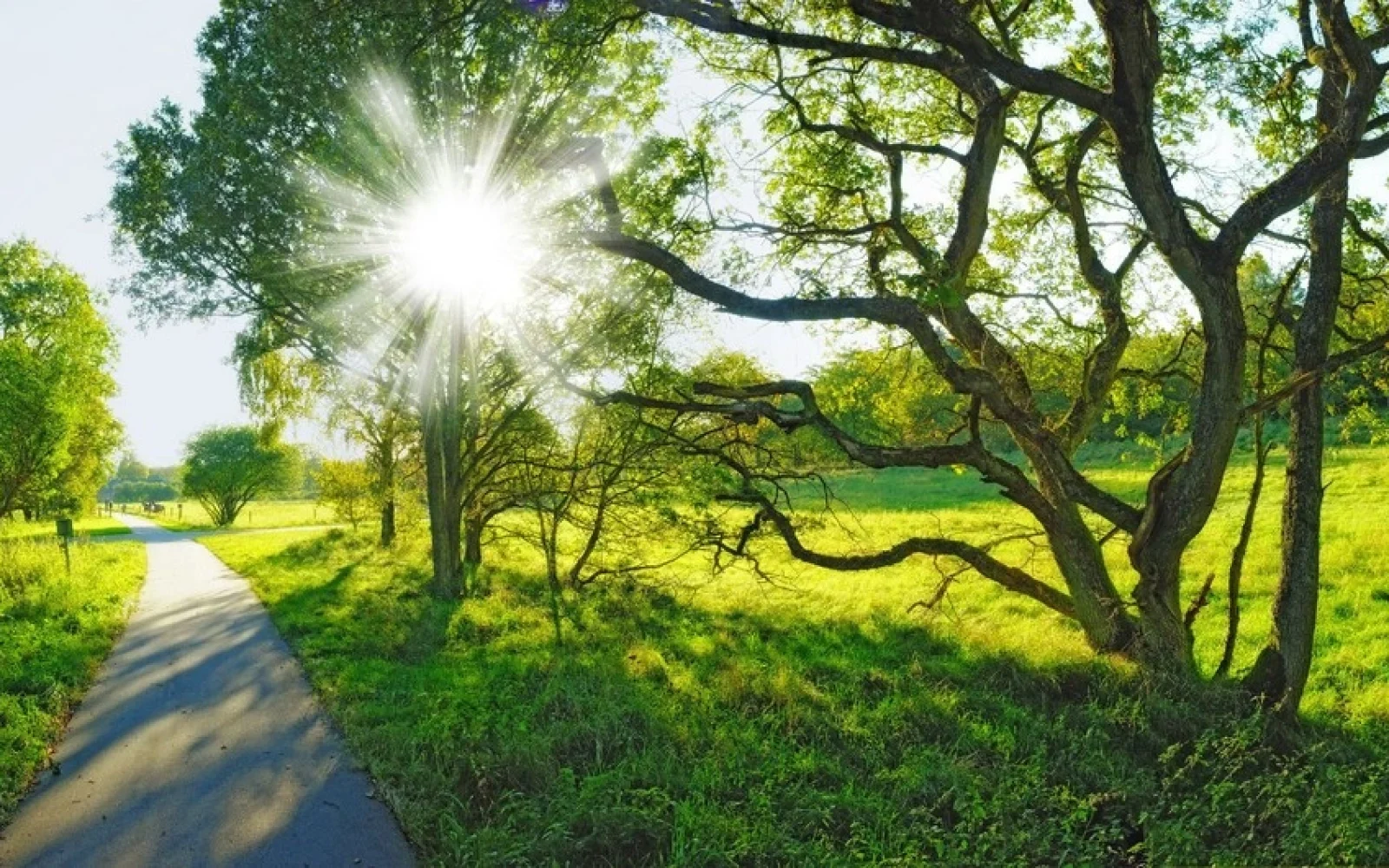 33 dərəcə isti, Hava, Hava proqnozu