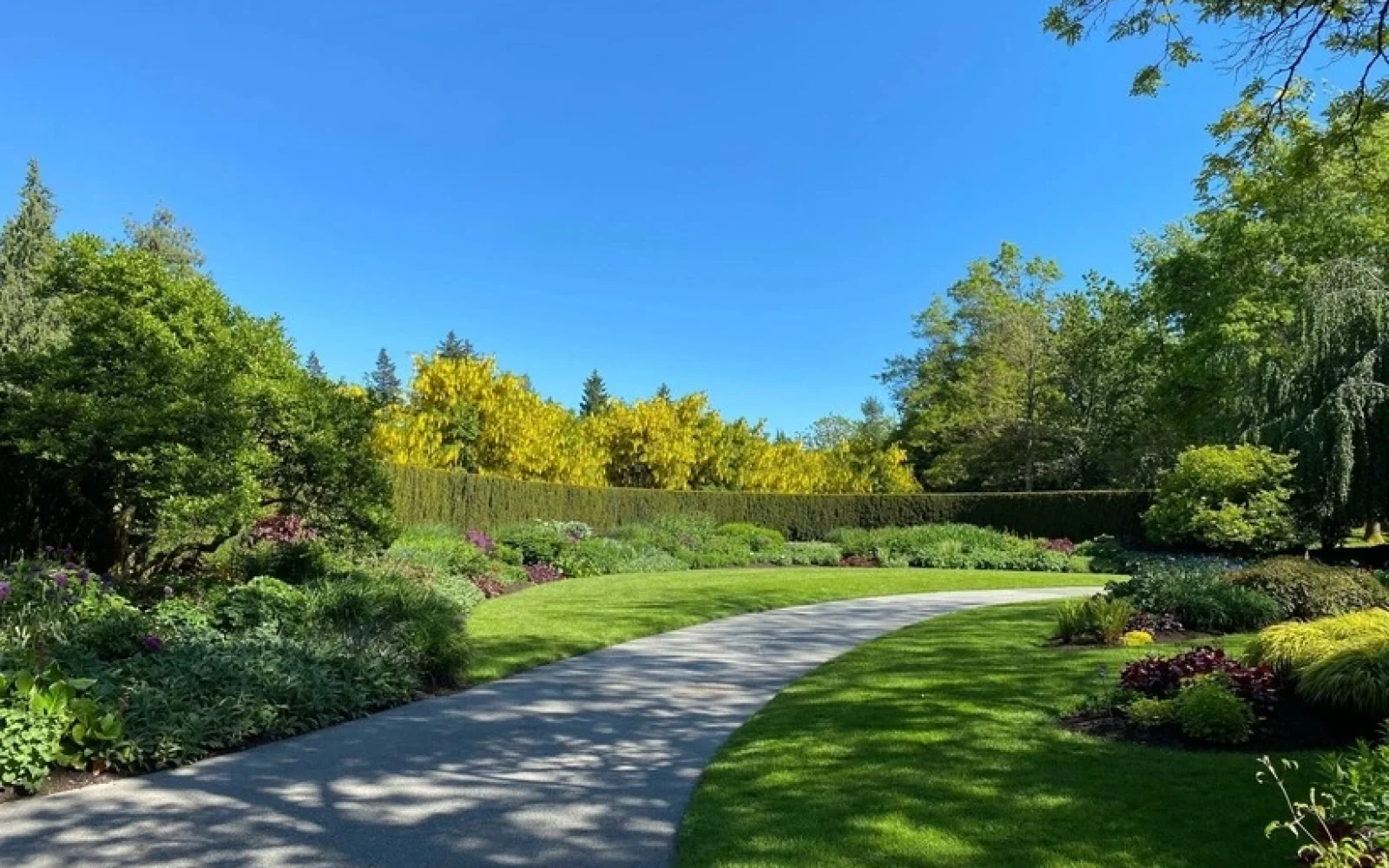 17 dərəcə isti, Hava, Hava proqnozu