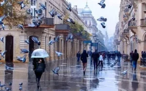 Hava proqnozu, Hava