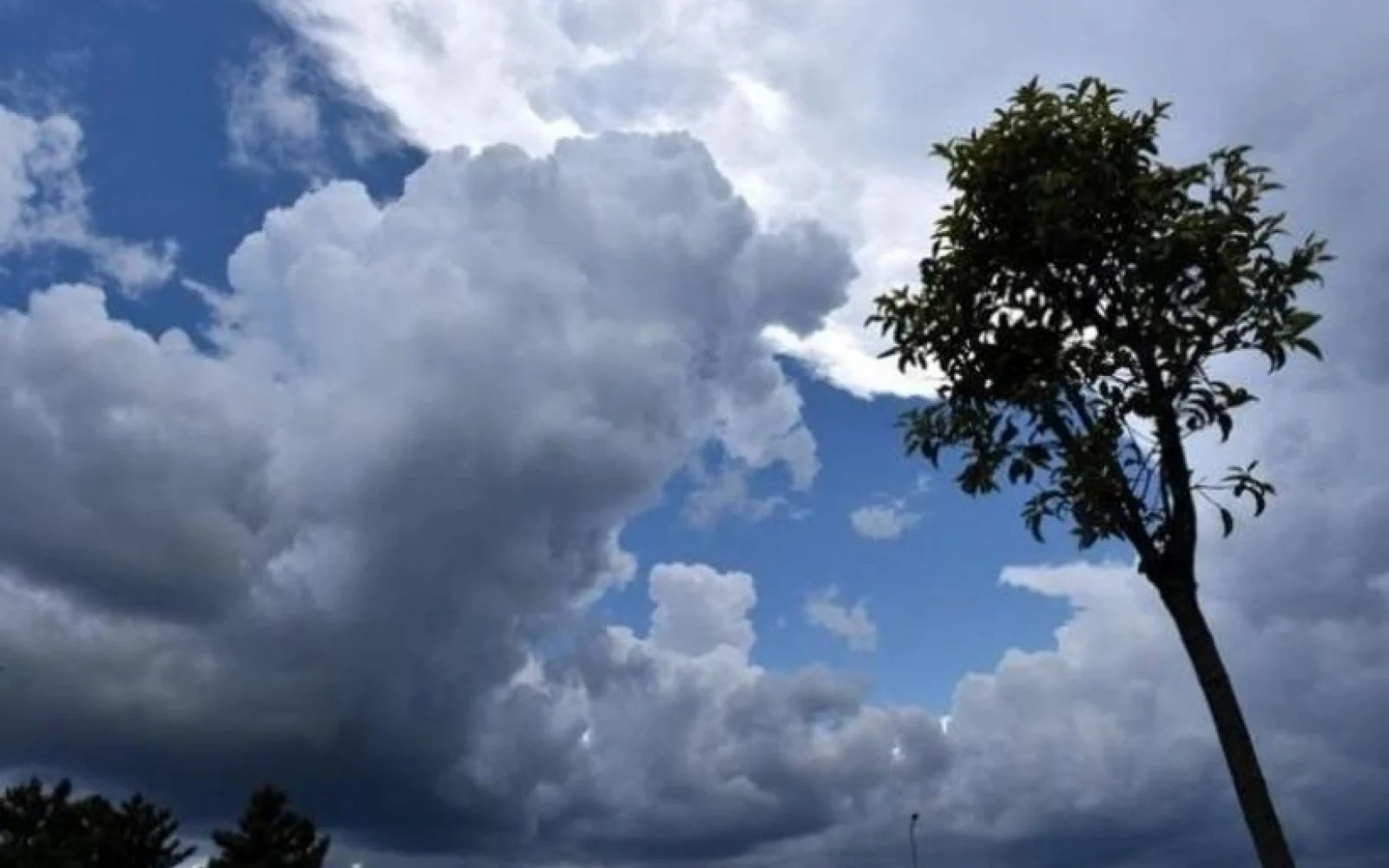 Bakıda hava, Hava, Hava proqnozu
