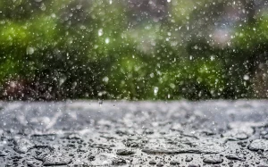 Bakıda yağış yağacaq, Hava, Hava proqnozu, Yağış