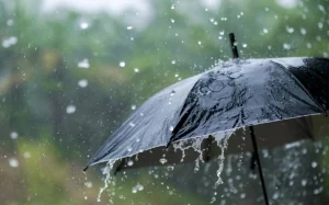 Yağış yağacaq, Hava, Hava proqnozu