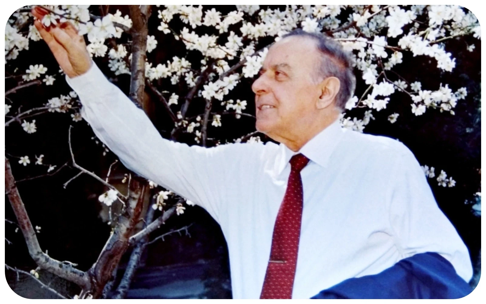 Heydər Əliyev, Гейдар Алиев