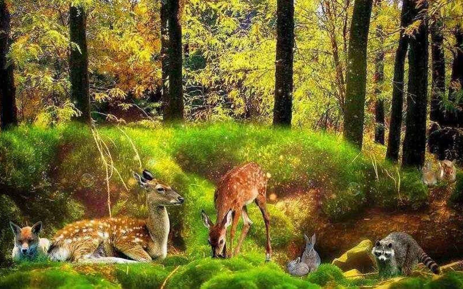 Heyvan davranışları, Təbiət Möcüzələri, Heyvan, Təbiət