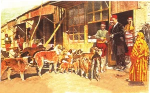 Heyvan haqları, Heyvan, Osmanlı