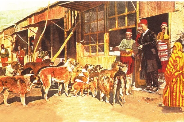 Heyvan haqları, Heyvan, Osmanlı