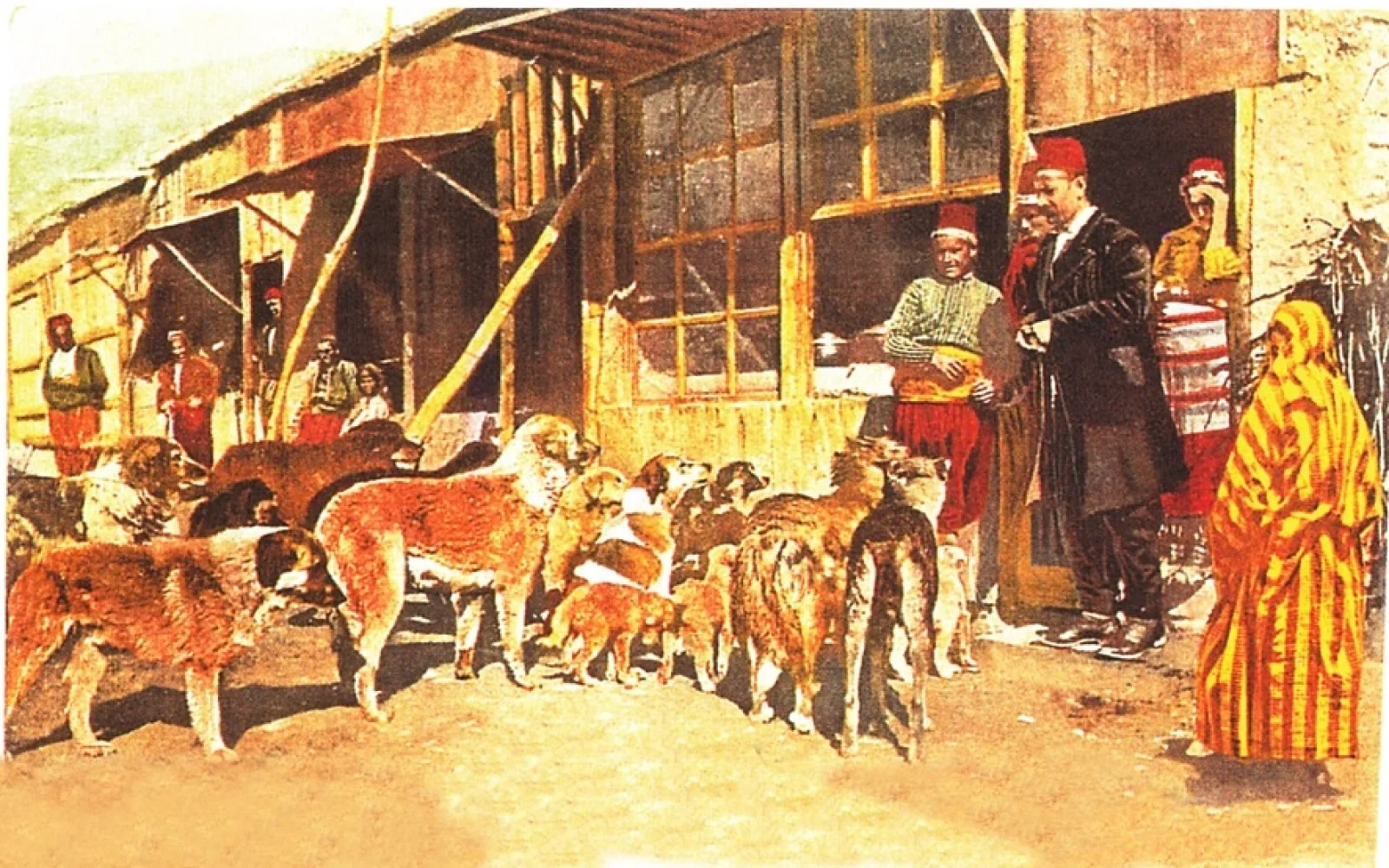 Heyvan haqları, Heyvan, Osmanlı