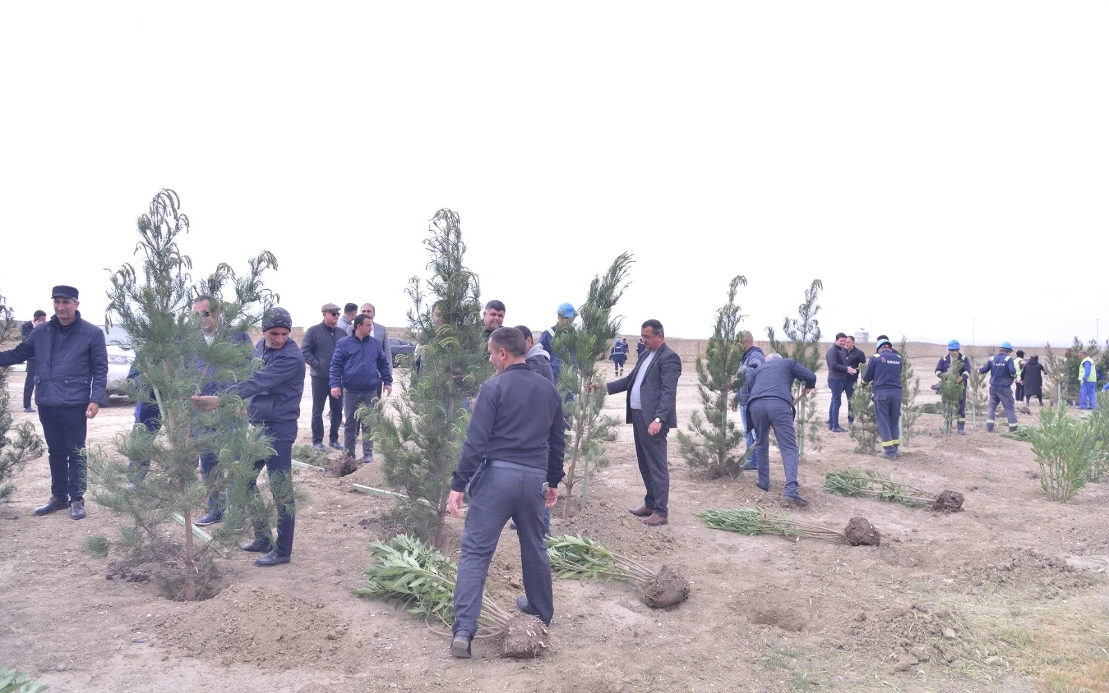 “Ağacəkmə aksiyası”, Ağacəkmə aksiyası, Qaradağ rayonu, Konstitusiya və Suverenlik ili