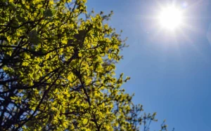 isti olacaq, isti, hava, hava proqnozu, hava haqqında,