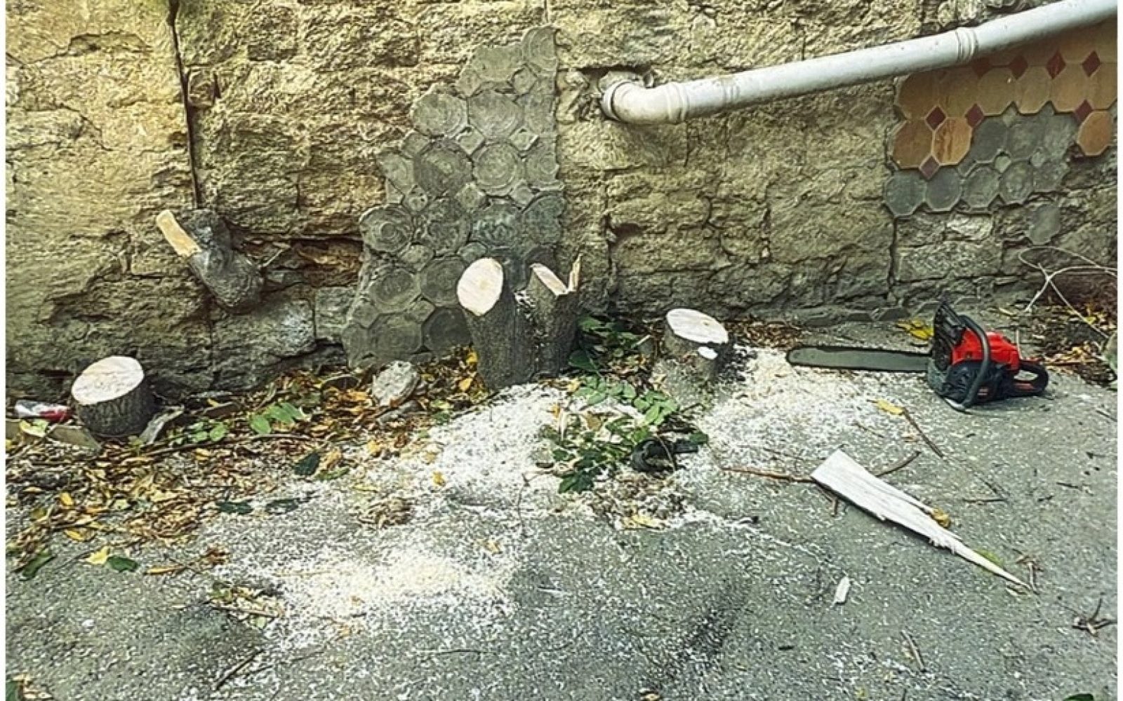 IMG-20251002-WA0157