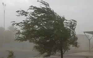 Küləkli hava şəraiti, Hava, Hava proqnozu