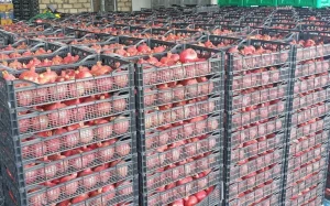 Fərhad Qaraşov, Azərbaycan Nar İstehsalçıları və İxracatçıları Assosiasiyası, ANİİA, Nar