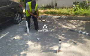Nəsimi rayonu, Mir Cəlal küçəsi