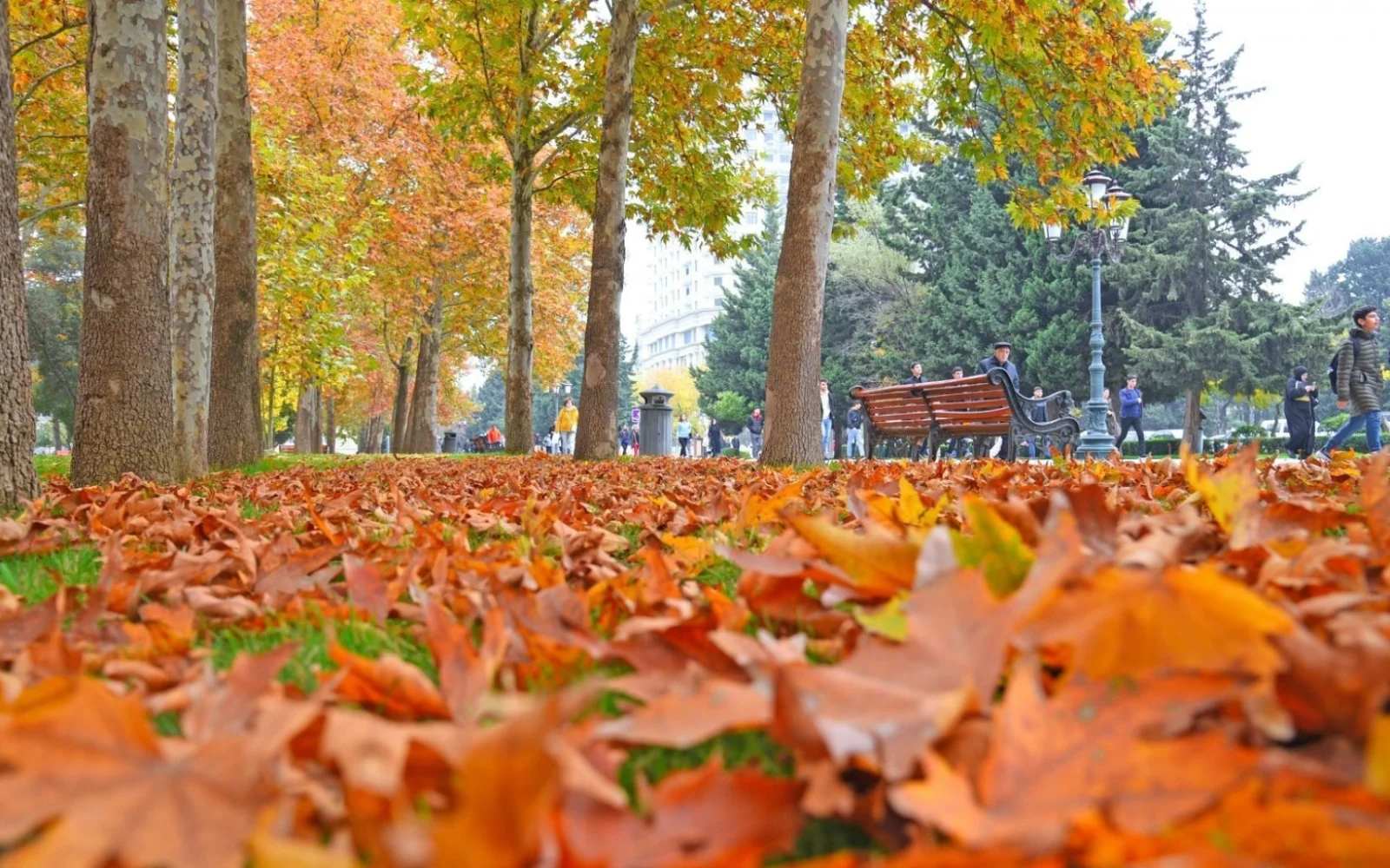 Payız, Bakı, Autumn, Baku
