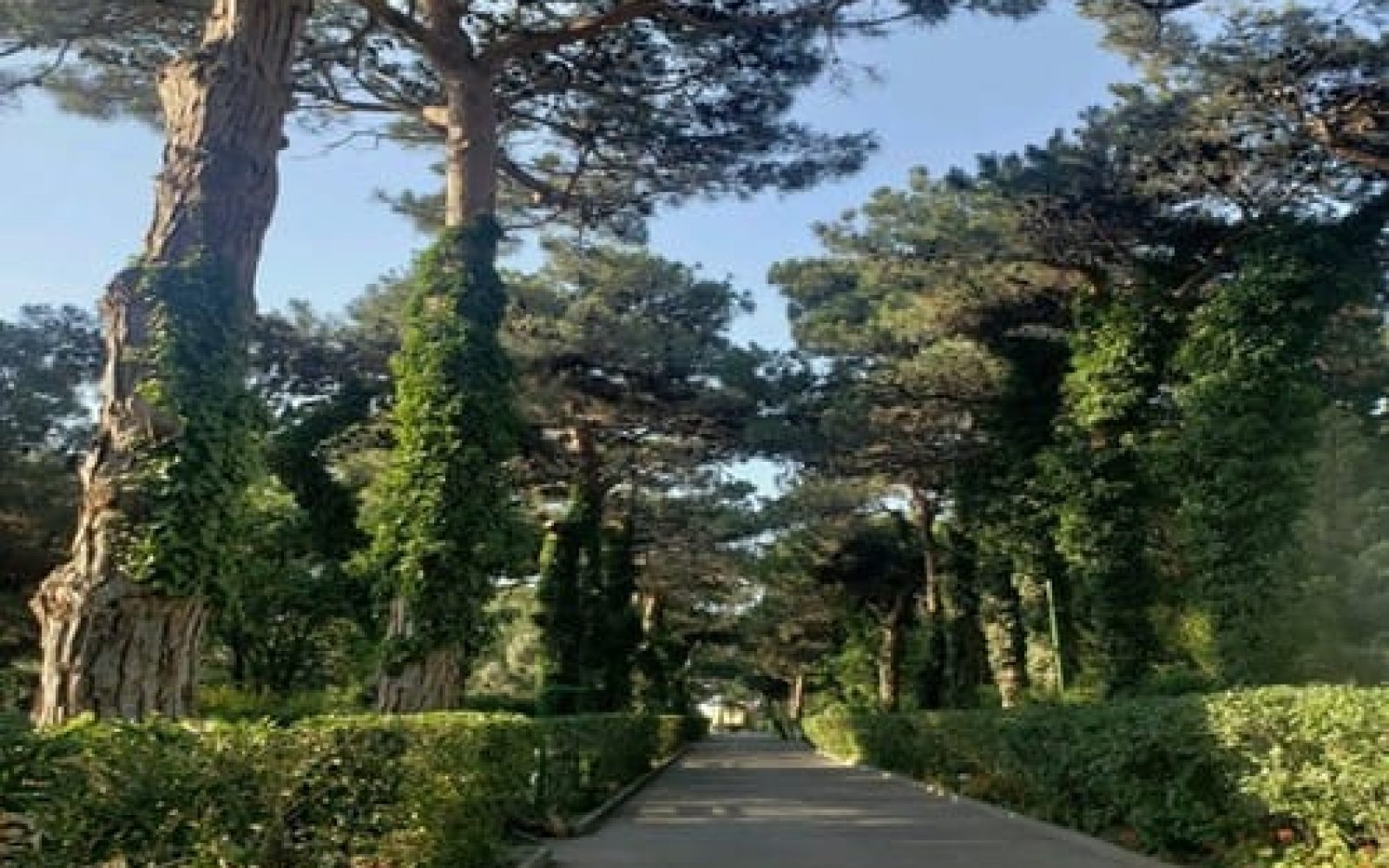 Dendrari Parkı