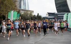 V Qələbə qaçışı