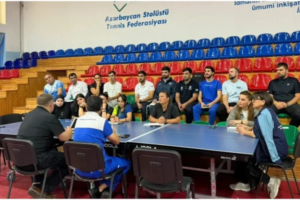 Stolüstü tennis