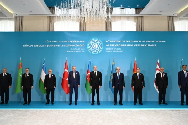 Türk Dövlətləri Təşkilatı, TDT