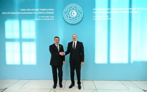 TDT, Türk Dövlətləri Təşkilatı