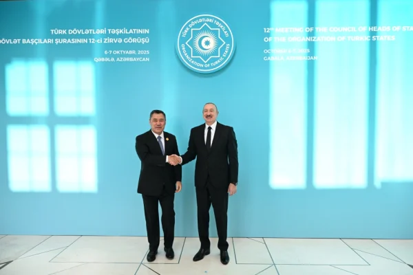 TDT, Türk Dövlətləri Təşkilatı