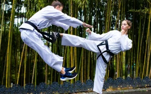 Beynəlxalq Taekvondo Günü, Taekvondo