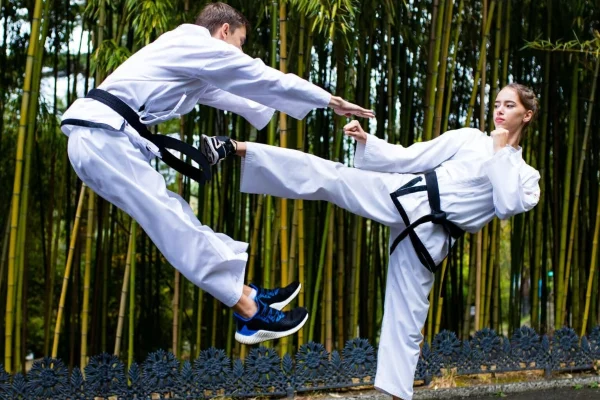 Beynəlxalq Taekvondo Günü, Taekvondo