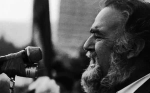 Təbriz Xəlilbəyli, Xəlil Rza Ulutürk