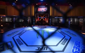 UFC Fight Night, UFC