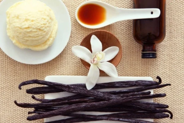 Ваниль, Vanilla planifolia