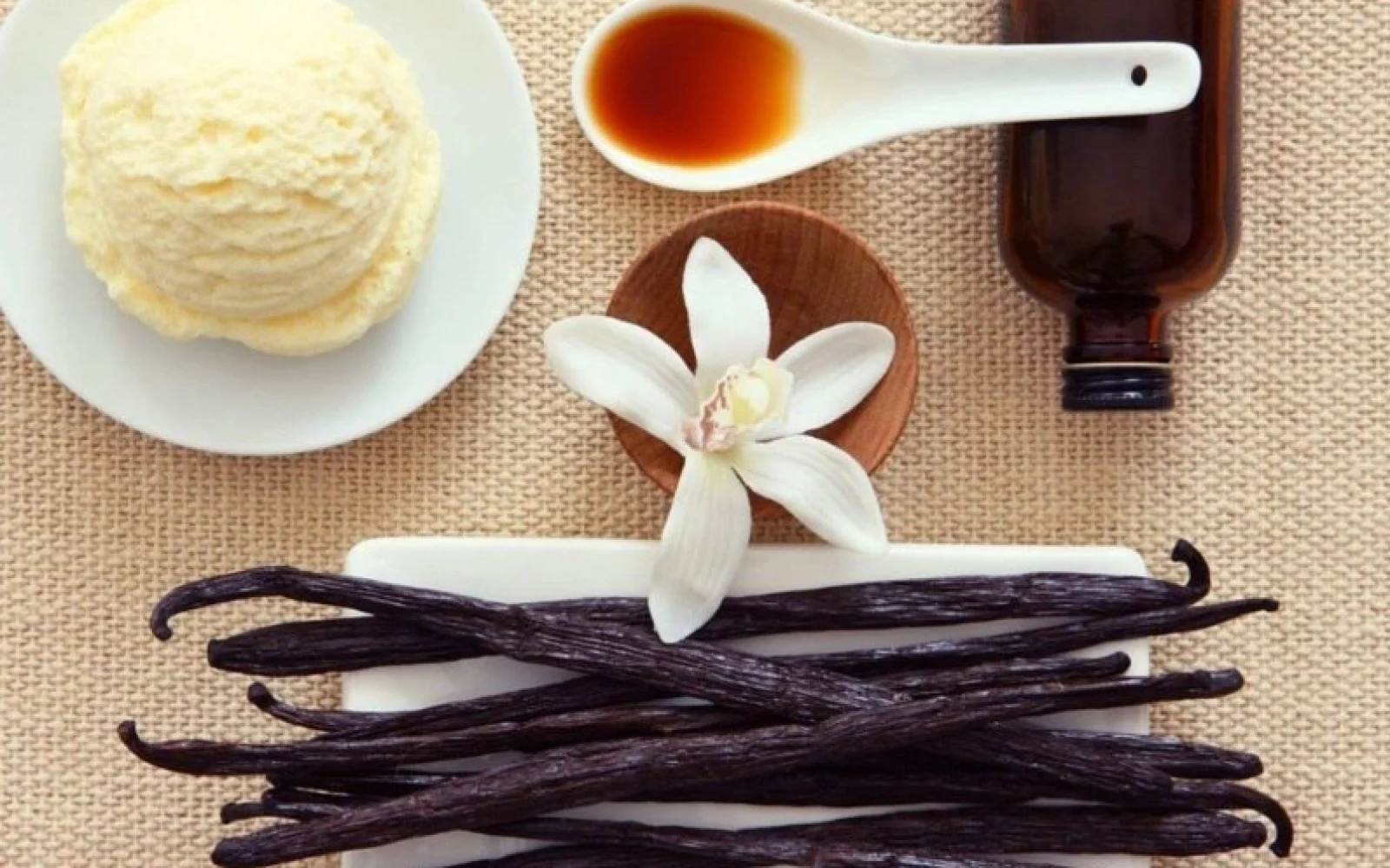 Ваниль, Vanilla planifolia
