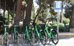 Bakıda velosipedlər, Velosiped