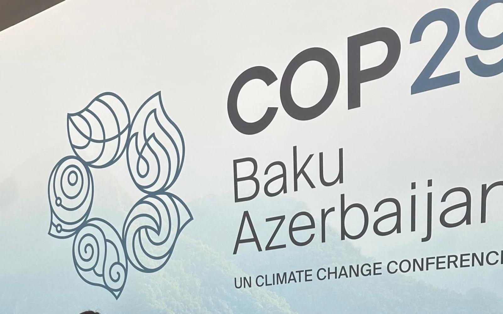 COP29