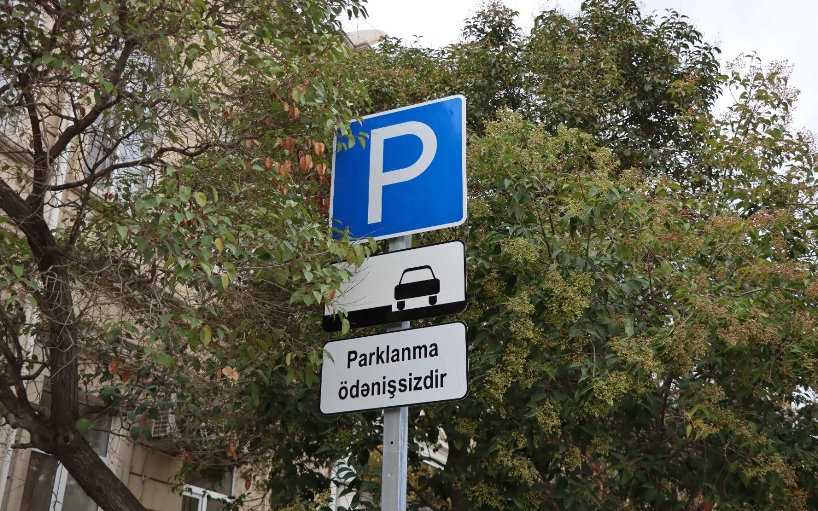 Ödənişsiz parklanma, Ödənişsiz parklanma məntəqələri