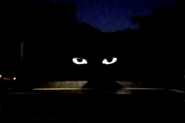 WhatsApp Image 2026-04-17 at 14.52.30