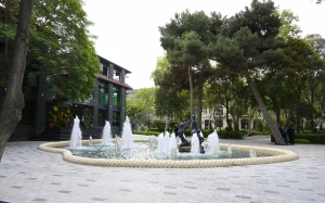 “Xaqani” bağı