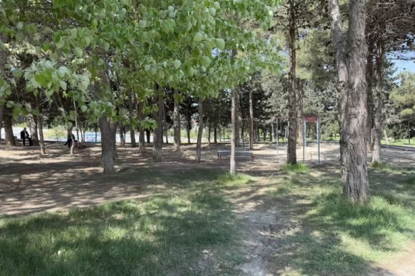 YTB, Yaşıllaşdırma Təsərrüfatı Birliyi, Bakı Şəhər İcra Hakimiyyəti, Binəqədi rayonu, "Pitomnik bağı"