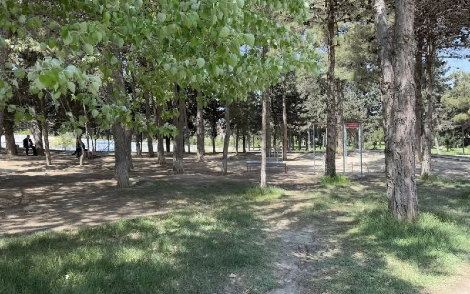 YTB, Yaşıllaşdırma Təsərrüfatı Birliyi, Bakı Şəhər İcra Hakimiyyəti, Binəqədi rayonu, "Pitomnik bağı"
