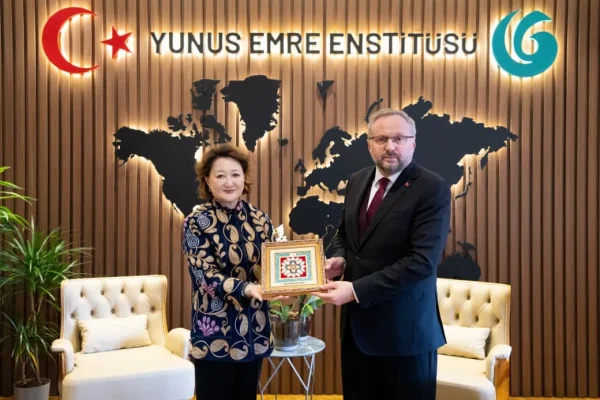Yunus Əmrə İnstitutu